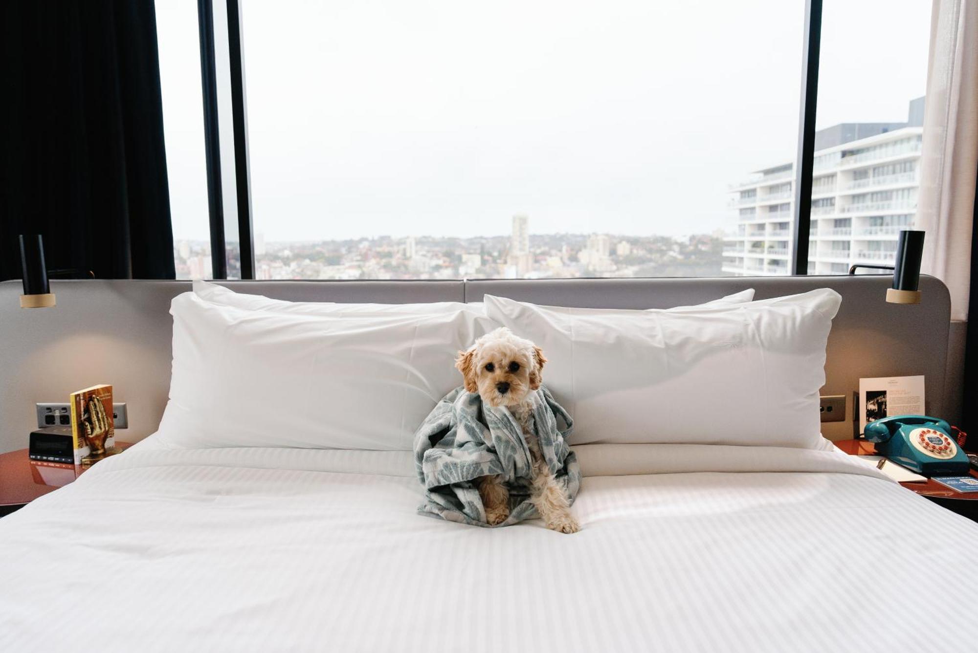 Hotel Indigo Sydney Potts Point By Ihg Buitenkant foto
